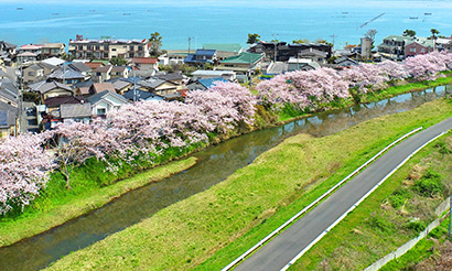 写真：びわ湖大津観光協会