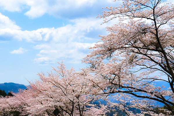 比叡山（image photo）